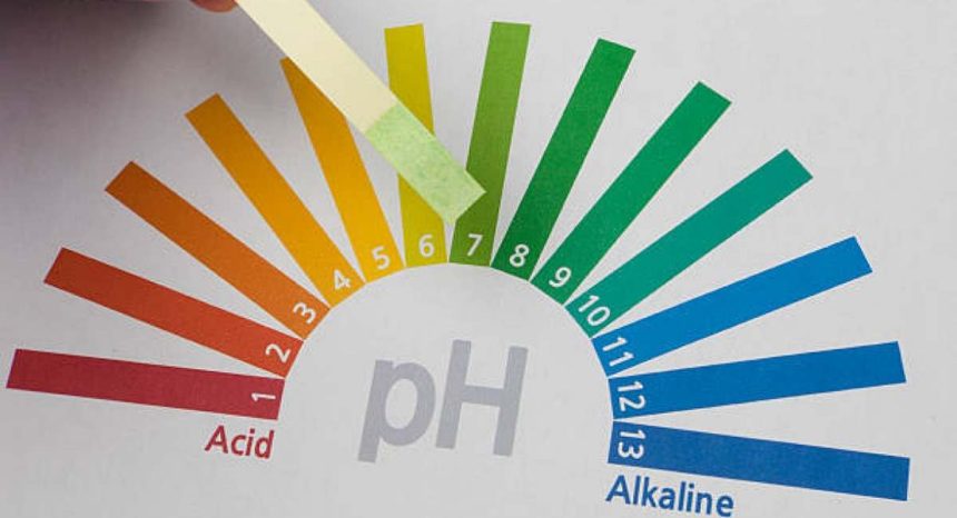 pH scale ranging from 1 to 14, with colors representing different levels of acidity or alkalinity. A pH test strip is placed on the scale, with the strip's color indicating a value of around 6 or 7, which represents a neutral or slightly acidic solution. The scale transitions from red (acidic) on the left, through yellow and green, to blue (alkaline) on the right.