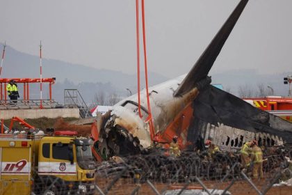 Bird strike or technical glitch, what caused South Korea plane crash that killed 179?