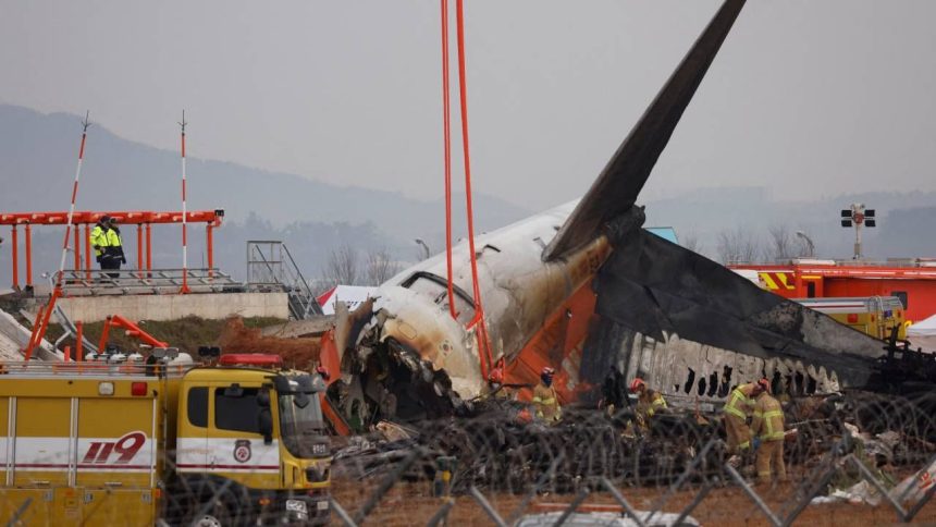 Bird strike or technical glitch, what caused South Korea plane crash that killed 179?