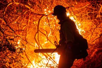 ‘Rs 1.7 lakh per hour’: How LA’s rich are protecting their homes amid raging wildfire