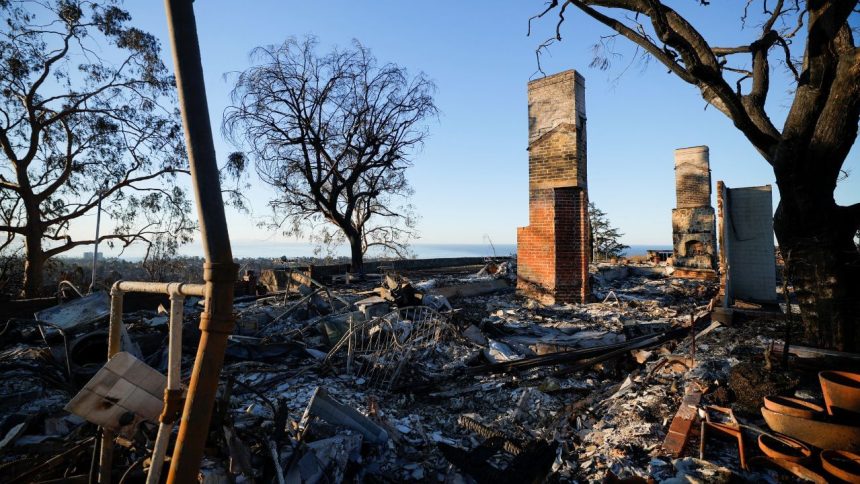 ‘$150 billion loss’: Los Angeles wildfires could be costliest disaster in US history