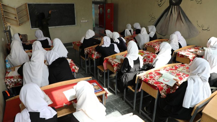 Senior Taliban official calls for lifting of education restrictions on Afghan women