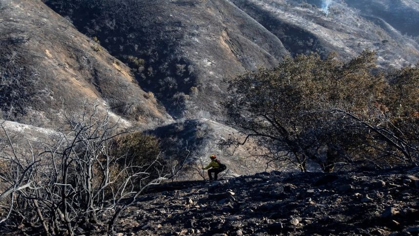 US: California races to contain massive wildfire before severe weather returns