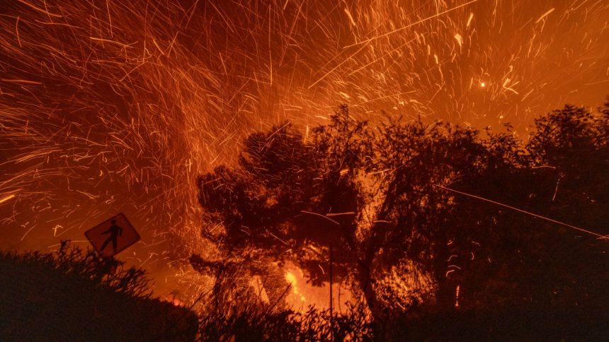 Los Angeles wildfires claim lives & force mass evacuations: What we know so far