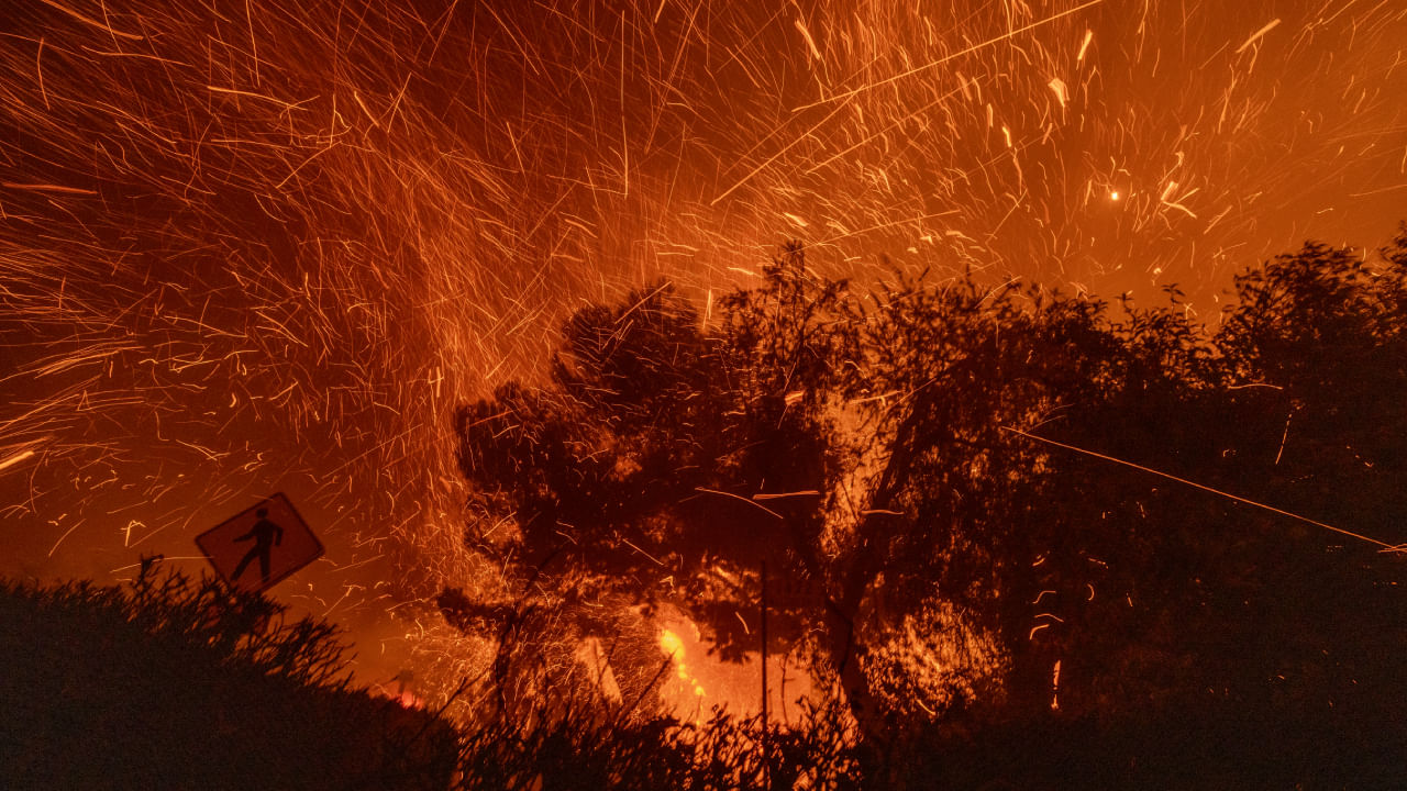 Los Angeles wildfires claim lives & force mass evacuations: What we know so far Los Angeles wildfires claim lives & force mass evacuations: What we know so far