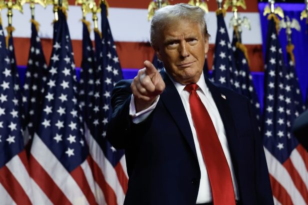 Decoding executive orders: Trump’s shortcut to major government overhaul in US