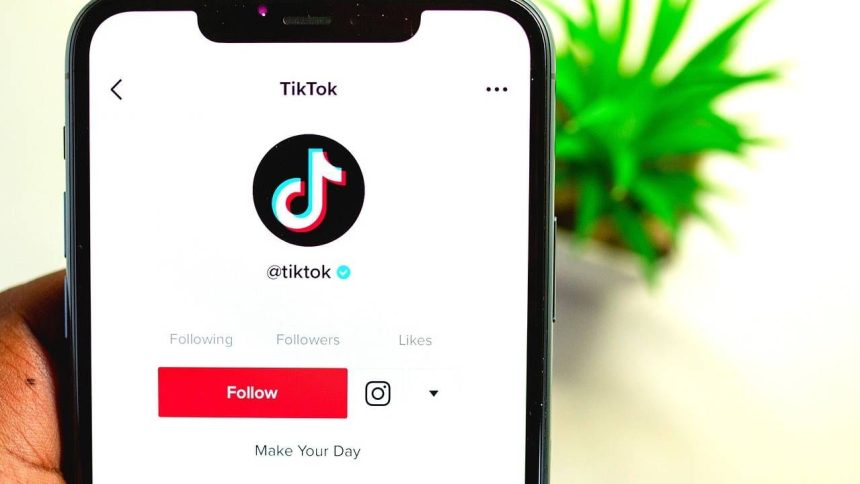 ‘Ban-or-sale order under guise of national security’: China on TikTok’ brief ban in US