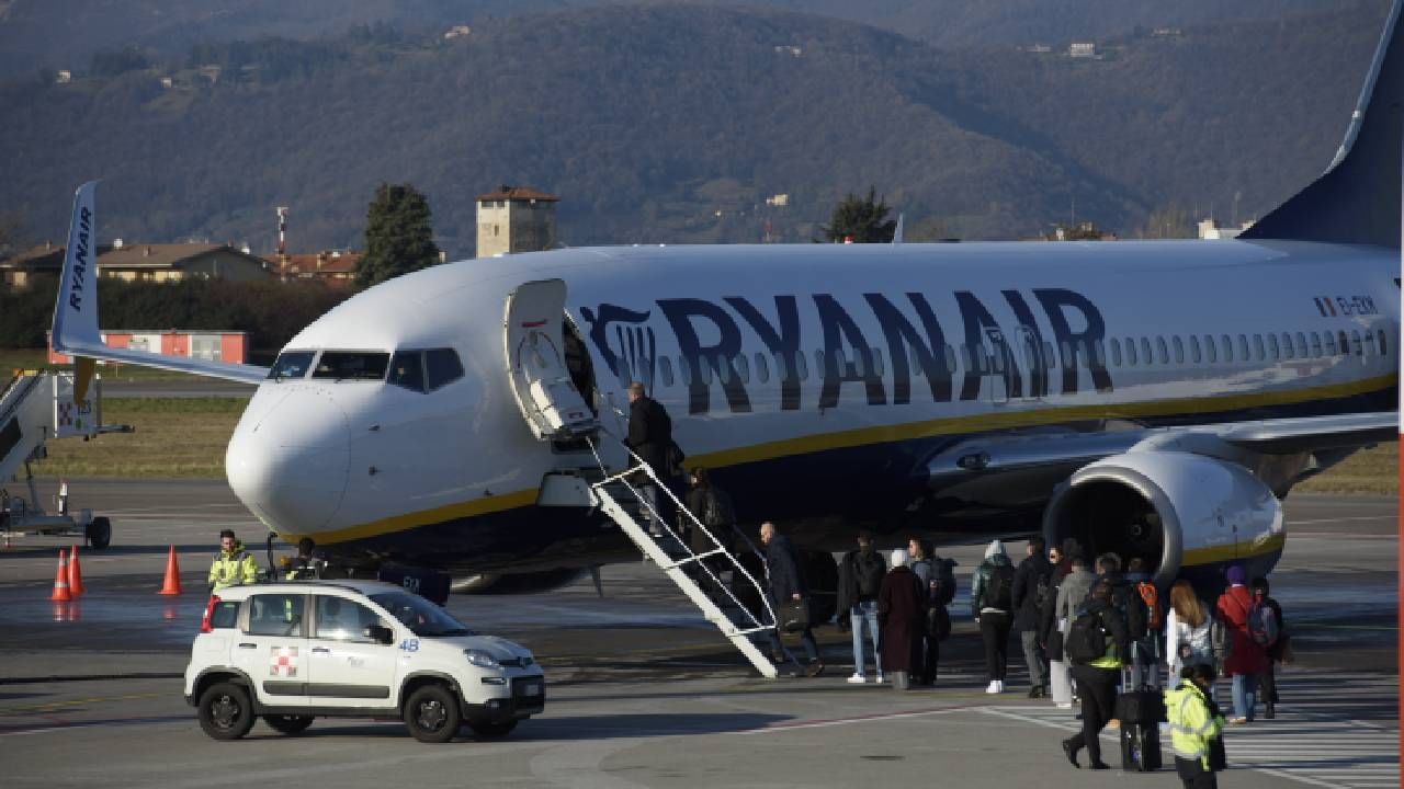 Cat-astrophic delay: Stowaway kitten grounds Ryanair flight, leading to two-day game of hide-and-seek Cat-astrophic delay: Stowaway kitten grounds Ryanair flight, leading to two-day game of hide-and-seek
