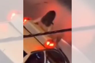 Woman protests Iran’s strict dress code by stripping naked on police car in Mashhad