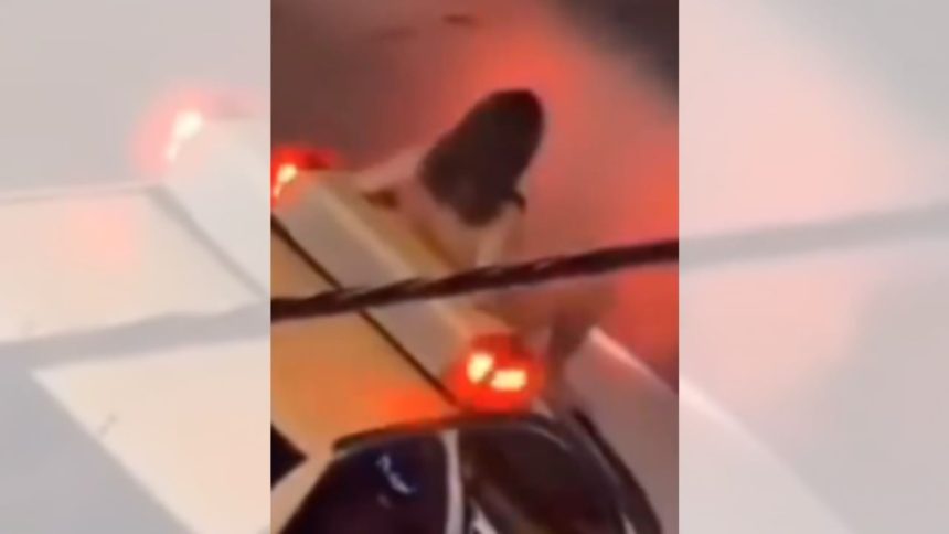 Woman protests Iran’s strict dress code by stripping naked on police car in Mashhad