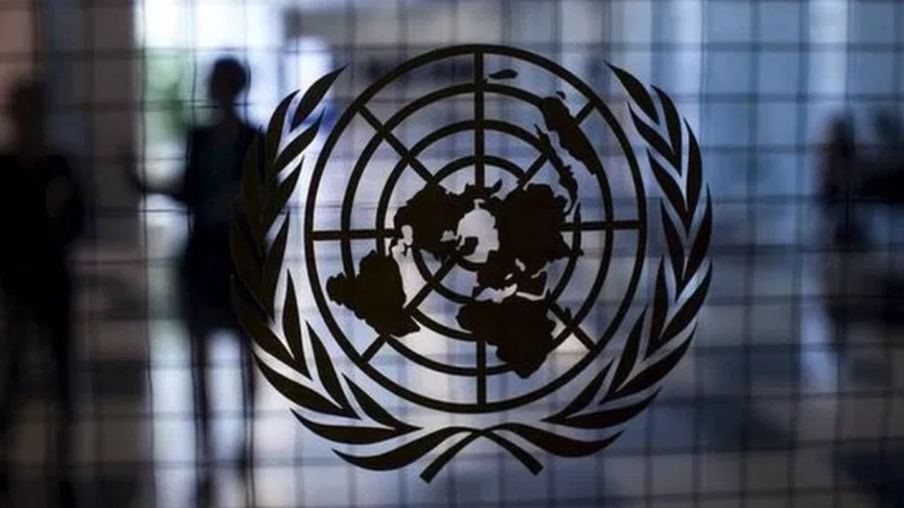 UN experts call on Pakistan to stop mass internal relocations, intimidation of Afghans immediately UN experts call on Pakistan to stop mass internal relocations, intimidation of Afghans immediately