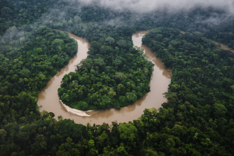 What would happen if the Amazon rainforest dried out? This decades-long experiment has some answers