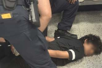 Watch| Indian student handcuffed and pinned to floor by US officials, video sparks online outrage