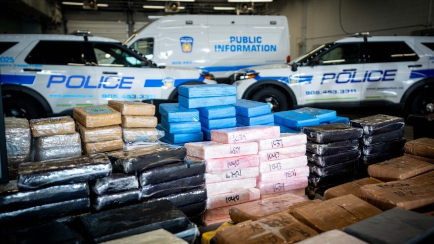 Project Pelican: Canada busts drug racket funding anti-India activities