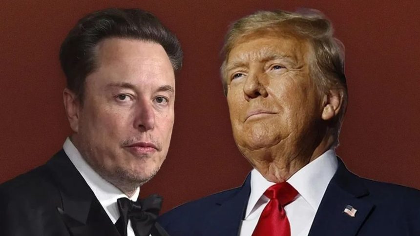 ‘A disgusting abomination’: Elon Musk slams Trump’s signature tax and spending bill
